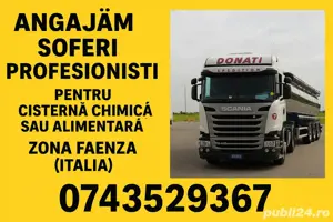 Sofer profesionist Italia