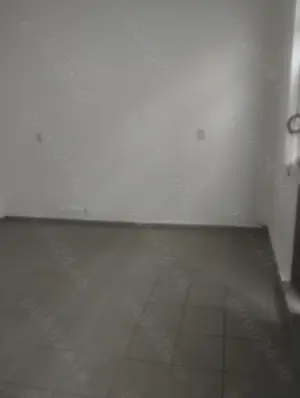  Spatiu comercial - Bumbesti jiu, Gorj - imagine 6