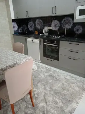 Propun spre inchiriere un apartament cu doua camere in zona Vitan  - imagine 5