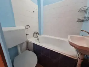 Apartament 1 camera, 21 mp, decomandat, etaj 4, zona Buziasului - imagine 3