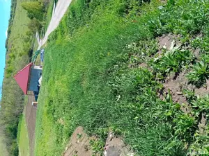 teren de vanzare - imagine 2