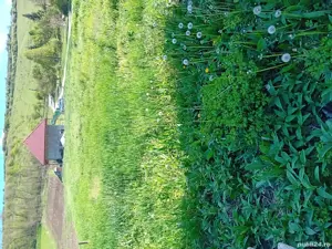 teren de vanzare - imagine 4