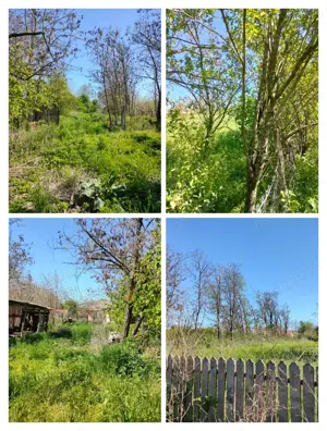 Casa de vanzare Platonesti Ialomita - imagine 2