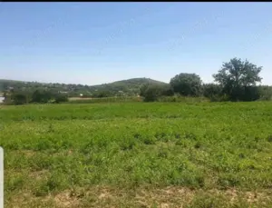 Ocazie,teren intravilan 7000 mp, Telita, comuna Frecatei, Tulcea - imagine 3