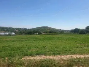 Ocazie,teren intravilan 7000 mp, Telita, comuna Frecatei, Tulcea - imagine 2