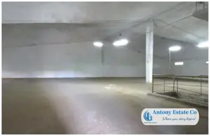 Hala Spatiu Depozit de inchiriat, Calea Clujului - Oradea - imagine 3