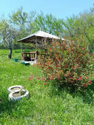 vând teren lângă pădure Cosmina de Sus jud Prahova toate utilitățile - imagine 2