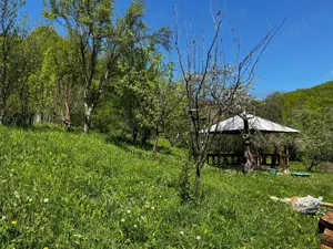 vând teren lângă pădure Cosmina de Sus jud Prahova toate utilitățile - imagine 5