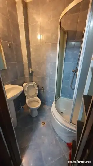 Apartament o camera zona Buziasului  - imagine 3