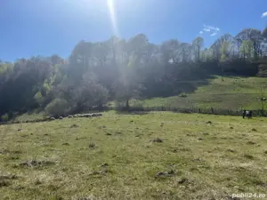 Vând teren ! - imagine 3