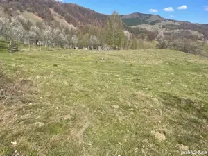 Vând teren ! - imagine 5