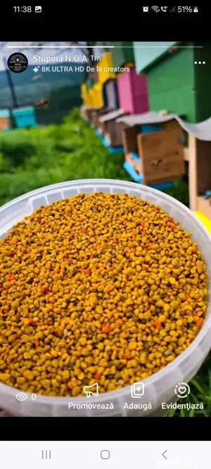 polen crud poliflor - imagine 2