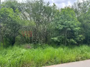 Dragomiresti Deal – Strada Pinului