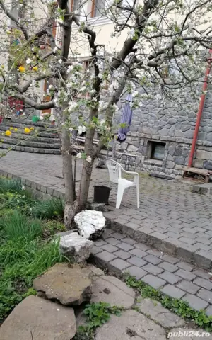 Vand vila de lux in zona Cetatii 1100000 - imagine 5