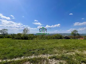 Teren Goranu 1769 mp/Intravilan - imagine 3