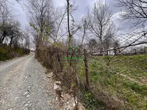 Teren 1260 mp/Pausesti Maglasi/Intravilan