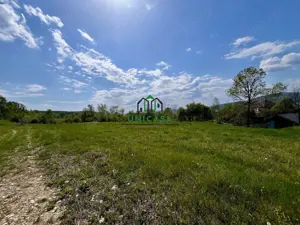 Teren Goranu 1769 mp/Intravilan - imagine 4