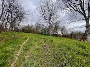 Teren 1260 mp/Pausesti Maglasi/Intravilan - imagine 5