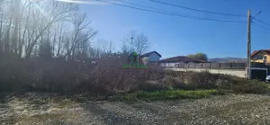 Teren Bujoreni  1073mp / Intravilan - imagine 2