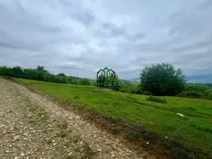 Teren 3507 mp/ Seaca/Calimanesti - imagine 4