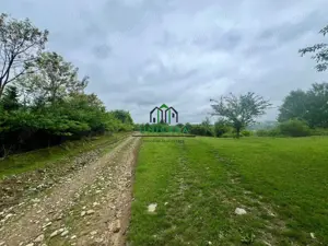 Teren 3507 mp/ Seaca/Calimanesti - imagine 3