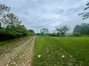 Teren 3507 mp/ Seaca/Calimanesti - imagine 2