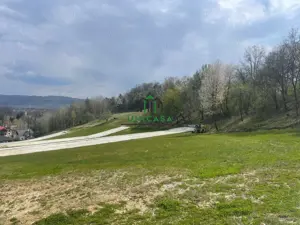 Teren intravilan - Calea Lui Traian - Zona Cetatuia - imagine 7