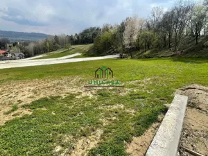 Teren intravilan - Calea Lui Traian - Zona Cetatuia - imagine 8