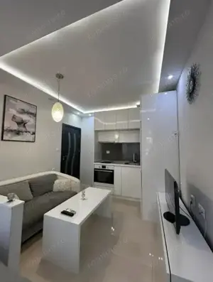 1 camera zona Bucovina - imagine 3