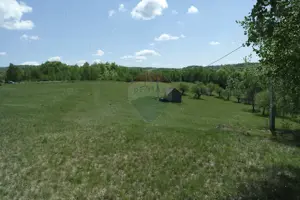 Teren de vanzare in Preluca Noua