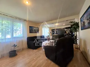 Casa individuala cu 4 camere si 2 garaje,  zona Lipovei - imagine 5