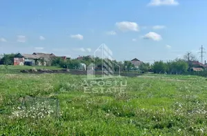 Casa individuala cu curte individuala si gradina - Zona Gai - imagine 16