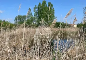 Casa individuala cu curte individuala si gradina - Zona Gai - imagine 20