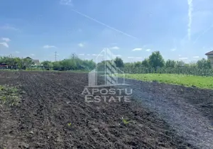 Casa individuala cu curte individuala si gradina - Zona Gai - imagine 18