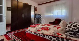 Casa de vanzare in Ineu formata din 2 cladiri - imagine 11