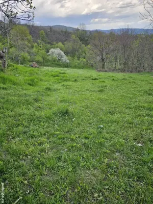 Vând Loturi Intravilane! - imagine 3