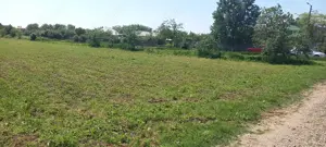 Vând teren intravilan com.Frătești, jud.Giurgiu - imagine 2