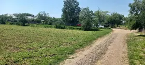 Vând teren intravilan com.Frătești, jud.Giurgiu - imagine 3