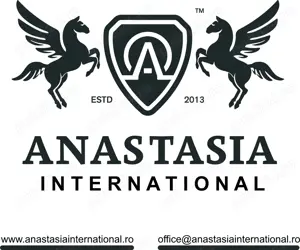 Angajam pe tur retur soferi - imagine 2