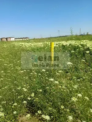 Domnesti - Str Cetinei, 718 Mp Intravilan, Deschidere 28, Utilitati  - imagine 7