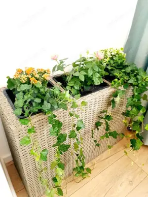 Apartament de vanzare, cu 3 camere, 70 mp, zona Manastur - imagine 11