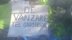 Vând casă cu anexe și teren 8900 mp - imagine 2