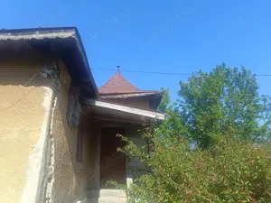 Vând casă cu anexe și teren 8900 mp