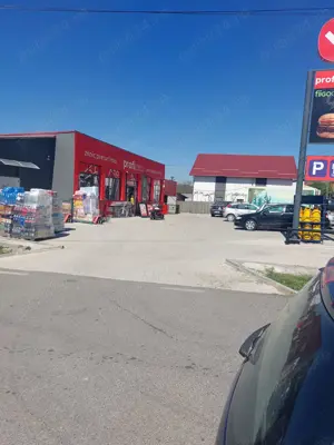 Vând casă cu anexe și teren 8900 mp - imagine 3