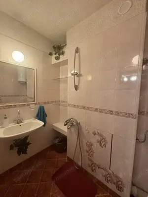 Apartament 2 camere in zona Aradului  - imagine 2