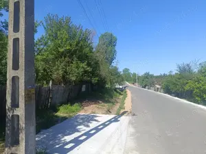 Vând casă cu anexe și teren 8900 mp - imagine 5