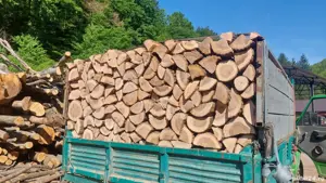 vand lemne de foc   la pret convenabil  am esenta tare  cer,fag,carpen,stejar lemnele se pot fasona  - imagine 2