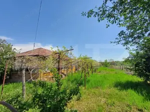 Teren de vanzare, 7300 mp, zona Danesti 