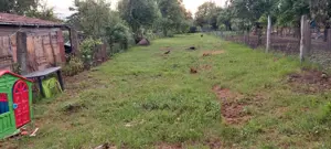 Teren intravilan, 1000 mp, Iezureni Gorj - imagine 3