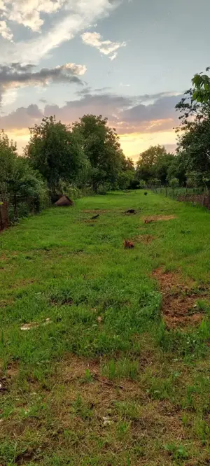 Teren intravilan, 1000 mp, Iezureni Gorj - imagine 4